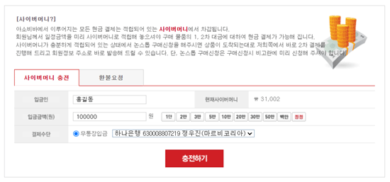 사이버머니 충전